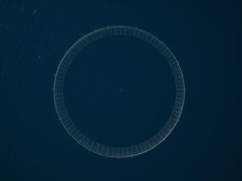 Aquaculture